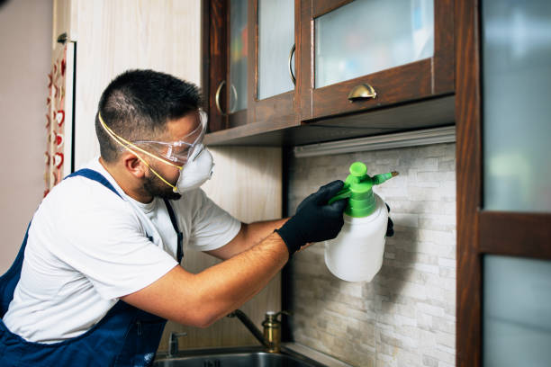 Best Commercial Pest Control Services  in Valley View, OH
