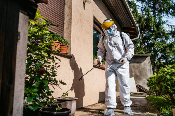 Best Exterminator Services  in Valley View, OH