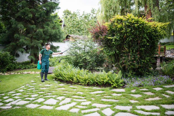 Best Residential Pest Control  in Valley View, OH