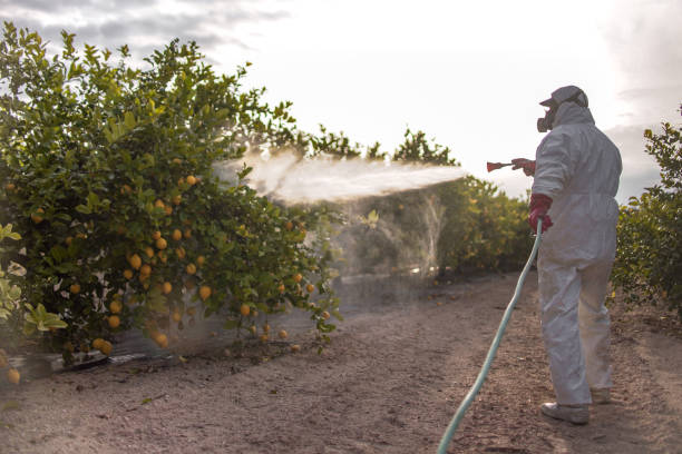 Flea Control Services in Valley View, OH