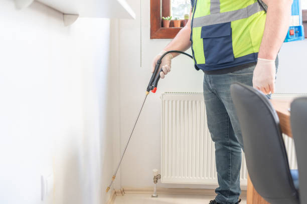 Best Flea Control Services  in Valley View, OH