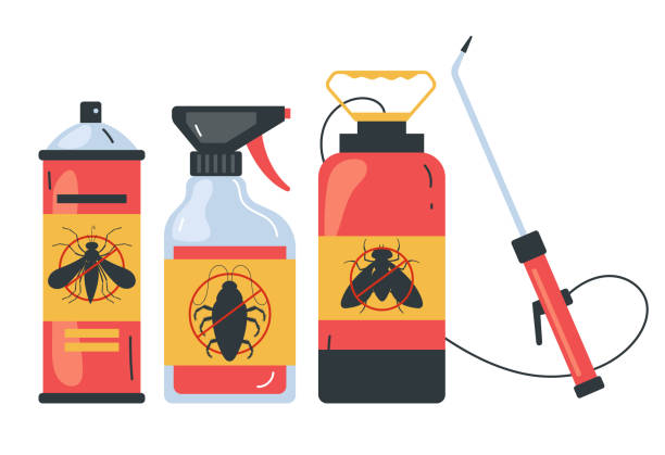 Best Wasp Removal Services  in Valley View, OH